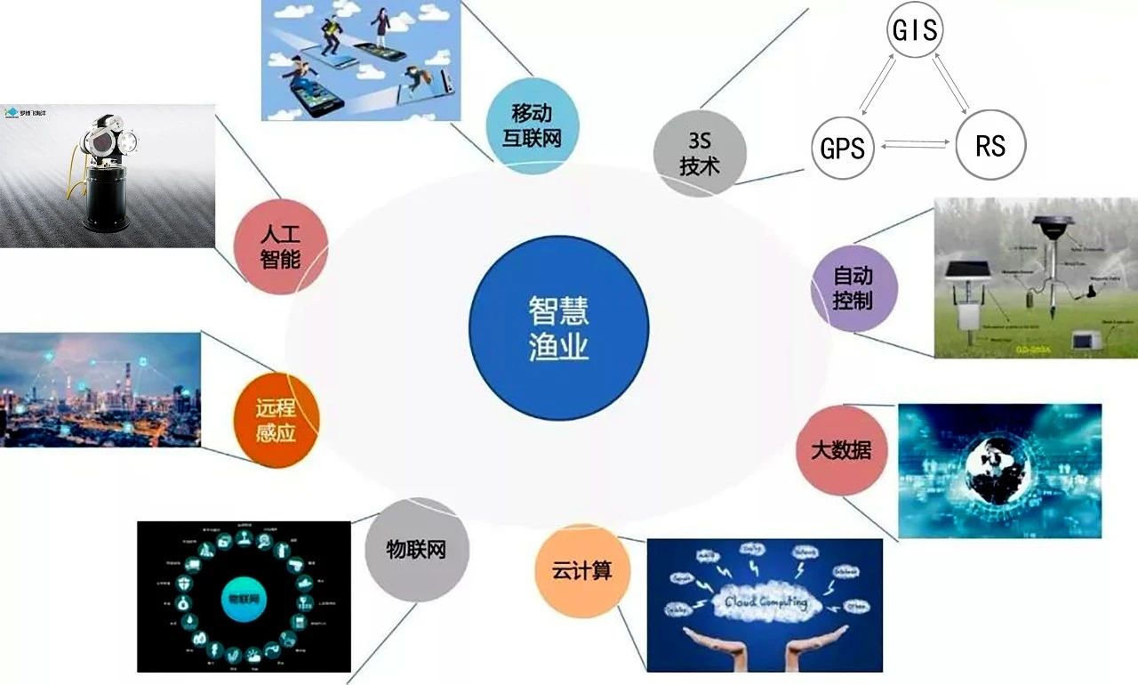 罗博飞海洋|智慧渔业系统解决方案