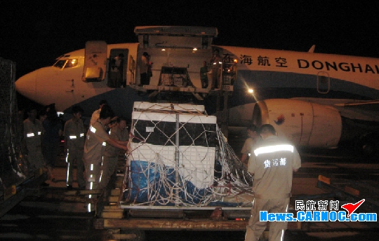 青岛机场圆满完成极地海洋世界海豚运输保障