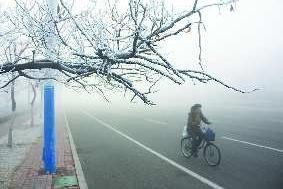 地湿气温高浓雾锁半岛