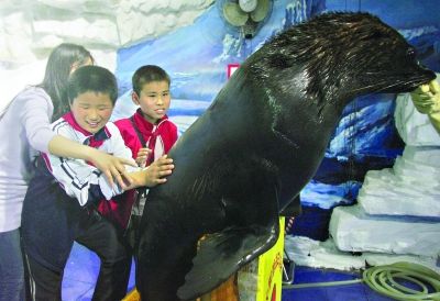 触摸海洋 感受快乐(图)