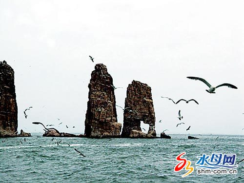 烟台长岛有望成为下一个免税岛 定位国际化(图)