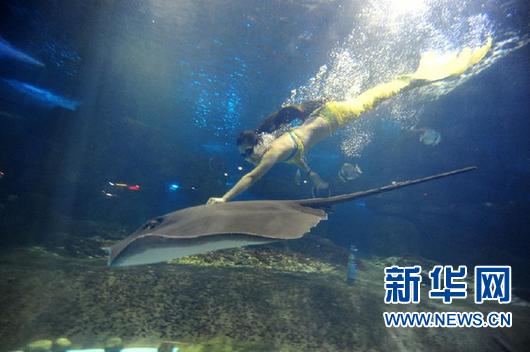 #（社会）（2）玻璃缸里的青春童话