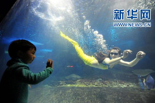 #（社会）（1）玻璃缸里的青春童话