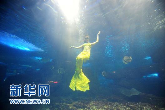 #（社会）（3）玻璃缸里的青春童话