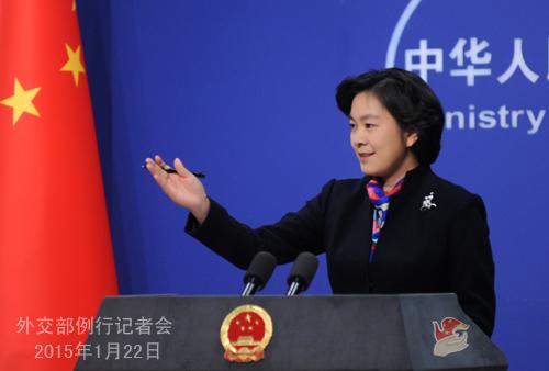 IS要求日本交2亿美元赎金换2名人质 外交部回应