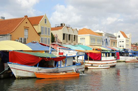 http://img.hycfw.com/UploadFiles/Article/2015/12/201512091053540911.jpg
