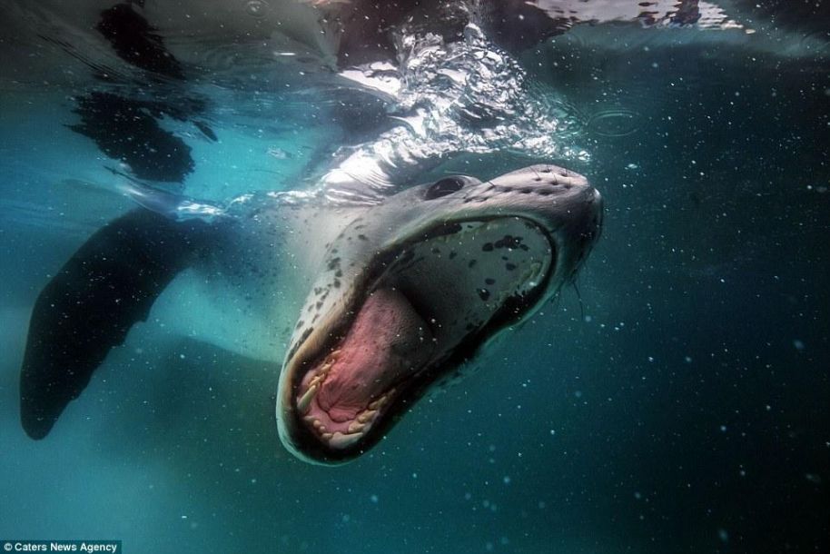 http://img.hycfw.com/UploadFiles/Article/2015/12/201512141102036691.jpg