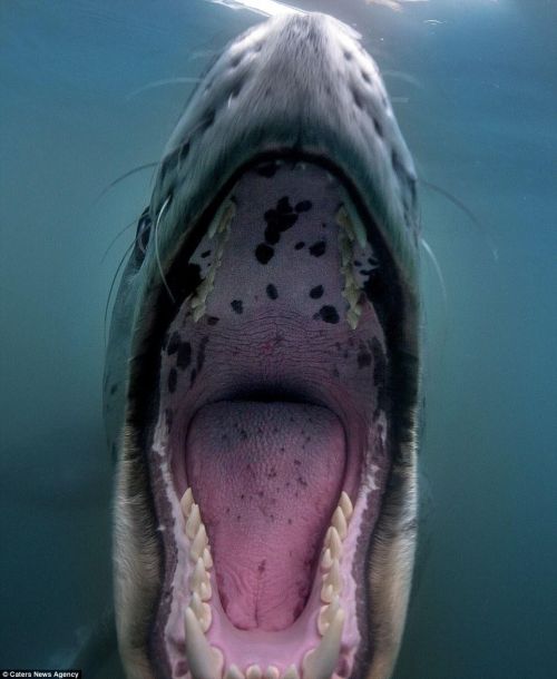 http://img.hycfw.com/UploadFiles/Article/2015/12/201512141102044214.jpg