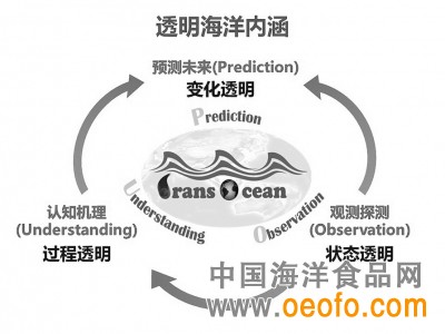 透明海洋