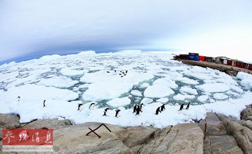 美媒称各国在南极洲展开竞争：中国动作快