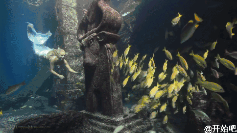 我们都在看星爷的《美人鱼》，却不知道这世上真有在拯救海洋的美人鱼