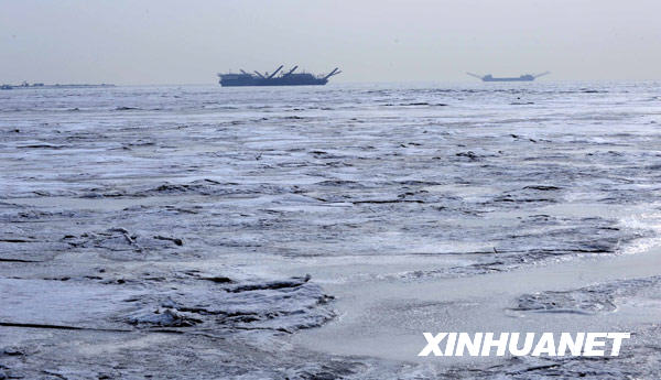 1月28日，天津地区海冰冰情已有所缓解。