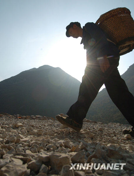 在广西隆林德峨乡常么村，村民顶着烈日背水回家（2月22日摄）。