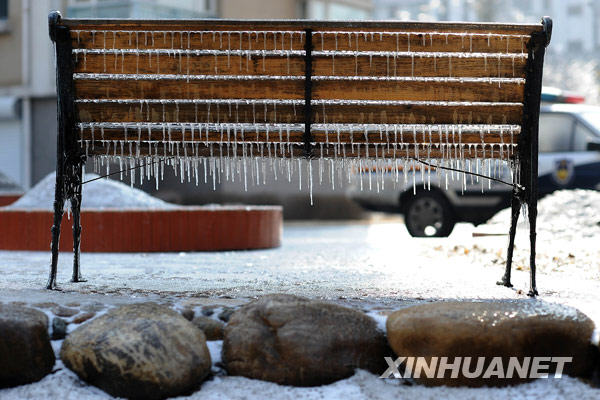 沈阳街头被冻雨包裹的休闲椅（2月25日摄）。