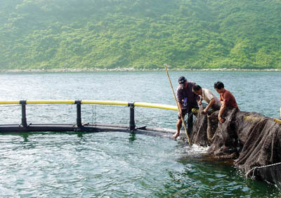 养殖户在三门岛附近海域的抗风浪深水网箱上作业。  记者谭宇川 摄