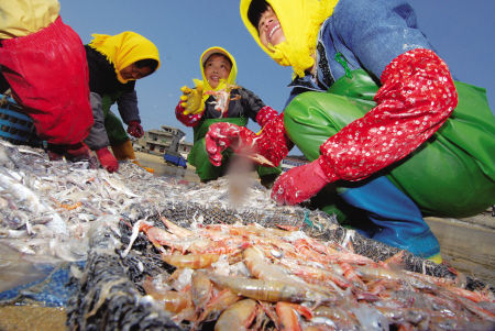 平潭海鲜酝酿大商机(图)