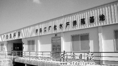 顺德不靠海照样养海鲜