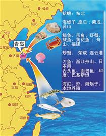浙江鲅鱼大连蛤蜊 青岛八成海鲜来自外地