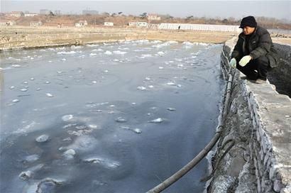 连遇极寒天气池子结冰 本地鲍鱼冻死7成(图)