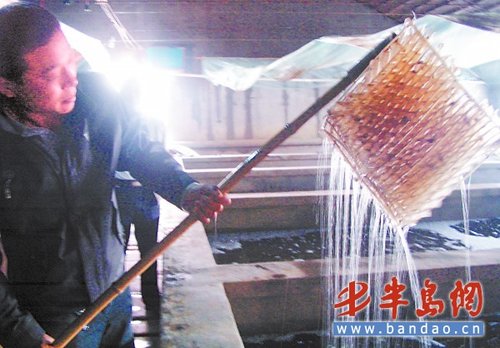 全国海参，半数“根”在田横