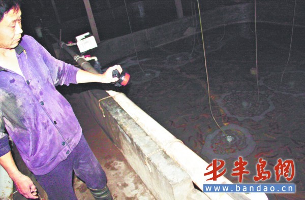 今年气温较高推迟了露天海参的上市时间。
