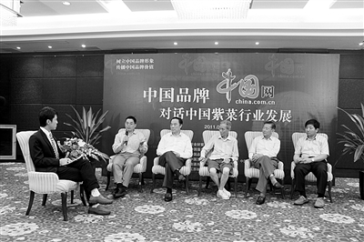 与会专家出席“中国品牌：对话中国紫菜产业发展”访谈