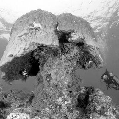 科学家称地球生态系统正在逼近9大极限