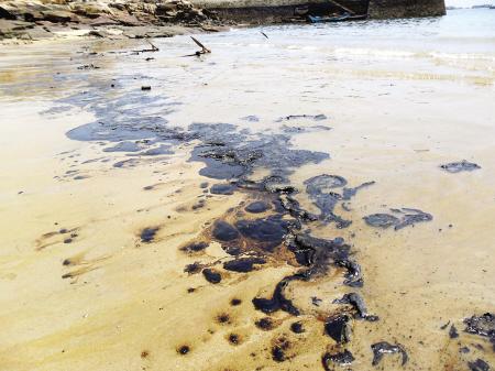 平潭：货轮机舱油外泄 海边养殖场海带沾满油垢(图)