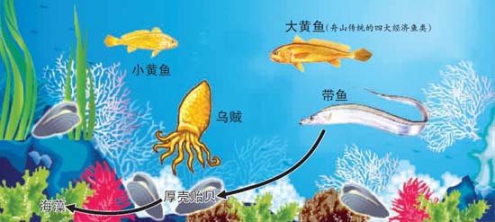 浙江启动国家级生态修复计划 200元可认购海洋碳汇.jpg