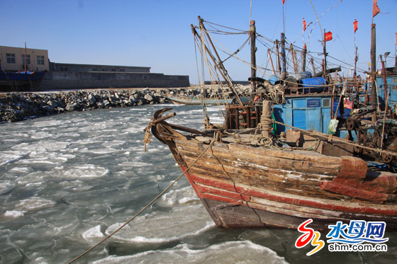 莱州湾新年大面积结冰 若冰情持续扇贝将绝收