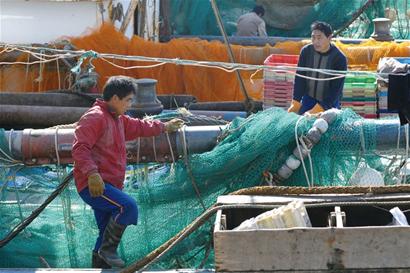 浙江渔船来青岛电网捕鱼 所到之处鱼类死绝