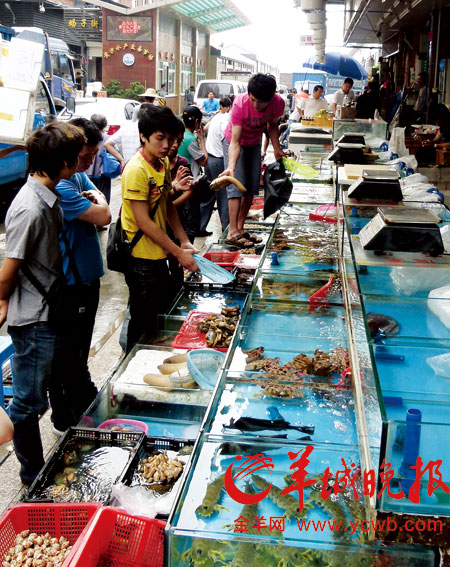 海产品零售市场的惨淡,并未影响到批发市场的生意。 羊城晚报记者 蔡惠中 黄巍俊 摄 海产品零售市场的惨淡,并未影响到批发市场的生意。 羊城晚报记者 蔡惠中 黄巍俊 摄