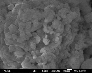 海洋所研发出用于养殖水环境的安全绿色生物功能新材料