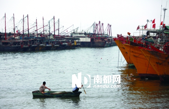 <p>    香洲渔港搬迁至少要四五年后。 南都记者 陈坤荣 摄</p>