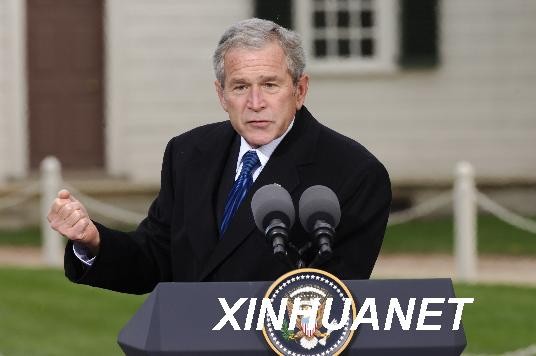 11月7日，美国总统布什与来访的法国总统萨科齐在弗吉尼亚州的芒特弗农举行会谈并召开联合记者会。布什表示希望通过外交手段来解决伊朗核问题。 新华社记者张岩摄 