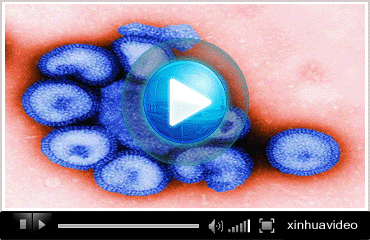 视频专题：全球防控A/H1N1型流感