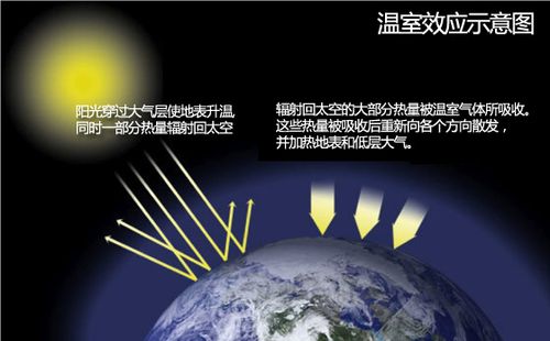 “增温6℃是人类存亡临界点”