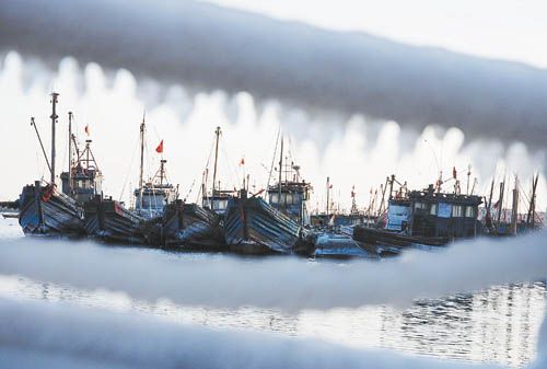 渤海湾遭遇30年最严重海冰灾害