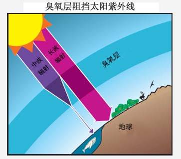 臭氧层