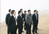 杨军市长来我公司考察工作