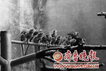 点击浏览下一张