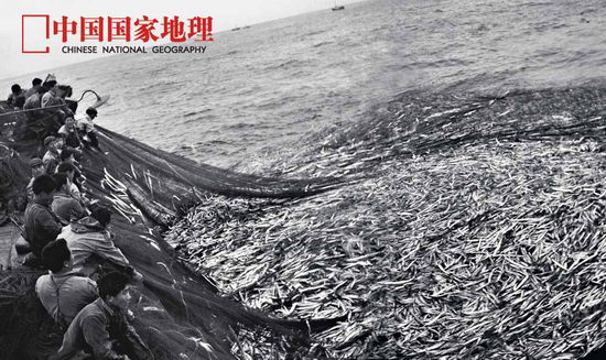 我国海洋经济鱼类的变迁