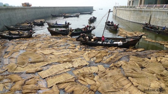 大连新港油库爆炸引发的海域污染，清理工作稳步开展，但赔偿事宜却经月不见下文。 （CFP/图）
