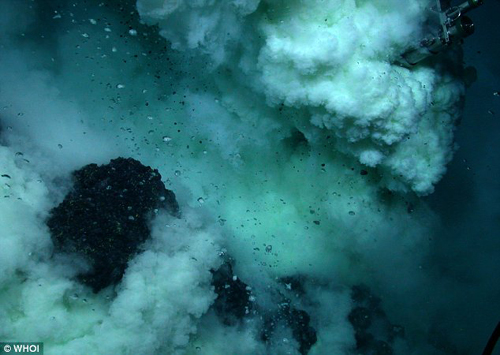 关岛喷发毒气海底活火山成海洋生物乐园(组图)
