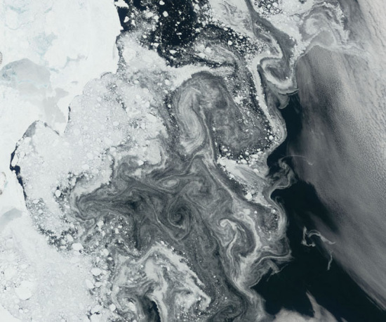 在格陵兰岛东北海岸，巨大的洋流漩涡将海冰搅乱，形成了一个个错综复杂的美丽图案。本图由美国宇航局“陆地”卫星于2006年利用卫星上的中分辨率成像光谱仪(MODIS)所拍摄。