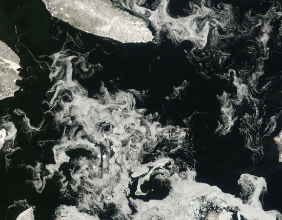 圣劳伦斯海湾海冰洋流