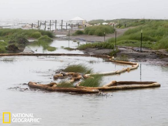 飓风驱使石油到达海岸(图片提供：Chris Combs, National Geographic)
