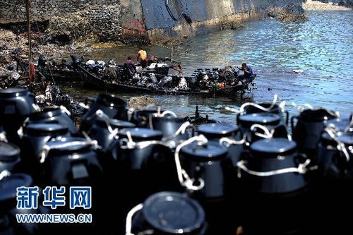 大连油污海域所致生态危害可能持续十年左右