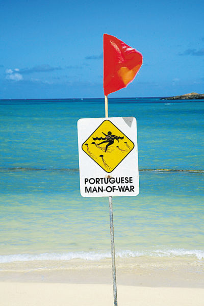 海滩上警示水母蜇人的告示牌