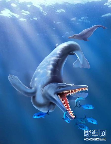 这是科学家模拟的4900万年前生活在南极海域的鲸的形象。
